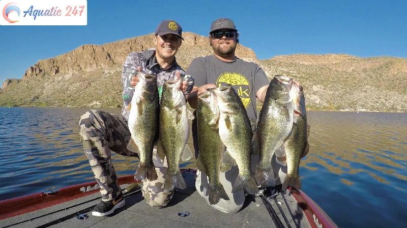 How many fishing rods per person in Arizona?