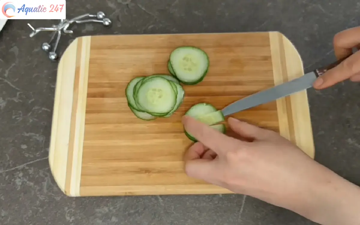 How to snail eats cucumber?